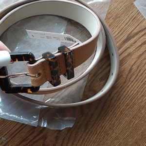 Ann taylor suede belt